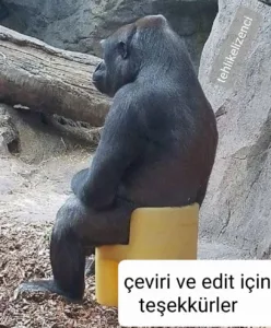 1000010111